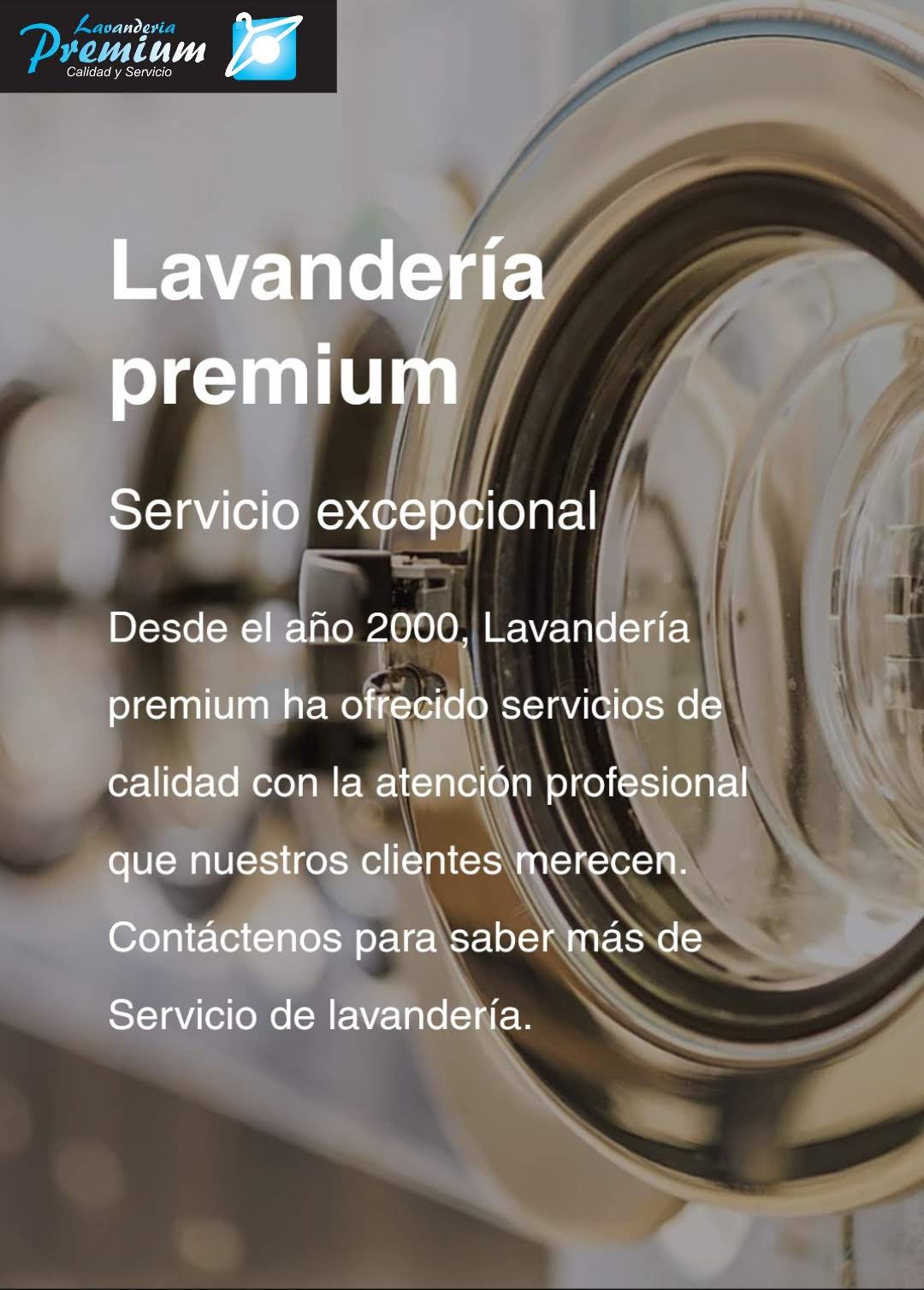 Equipo de lavandería profesional